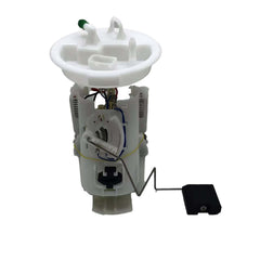 DEFL313 Fuel Pump Assembly for 50+, high_margin - NexuParts