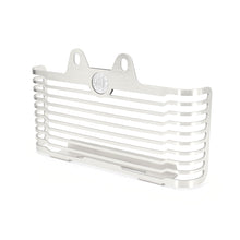 Radiator Grill Guard Compatible with BMW R nineT R9T/Pure/Urban