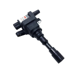 F01R00A012 Ignition Coil for Fengxing, 30-50, medium_margin - NexuParts