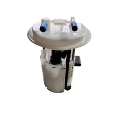 C4L13-15 Fuel Pump Assembly for Peugeot, Citroen, 50+ - NexuParts