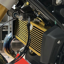 Radiator Grill Guard Compatible with BMW R nineT R12 NineT 2024 2024+