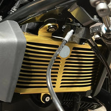 Radiator Grill Guard Compatible with BMW R nineT R12 NineT 2024 2024+