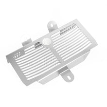 Radiator Grill Guard Compatible with BMW R nineT R12 NineT 2024 2024+