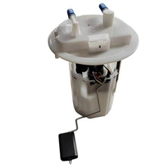 C4L13-15 Fuel Pump Assembly for Peugeot, Citroen, 50+ - NexuParts