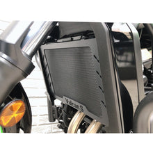 Custom Protection Guard for Kawasaki S-650