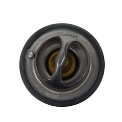 B48GA-76-M100 Thermostat for Great Wall, 10-20, low_margin - NexuParts
