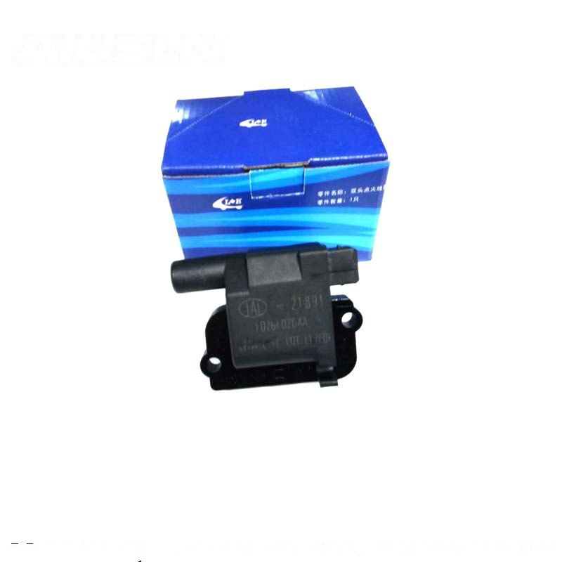 Ignition Coil 1026102GAA Compatible with Universal