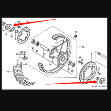 Universal Custom Motorcycle Accessory for CRF230F, CRF250F
